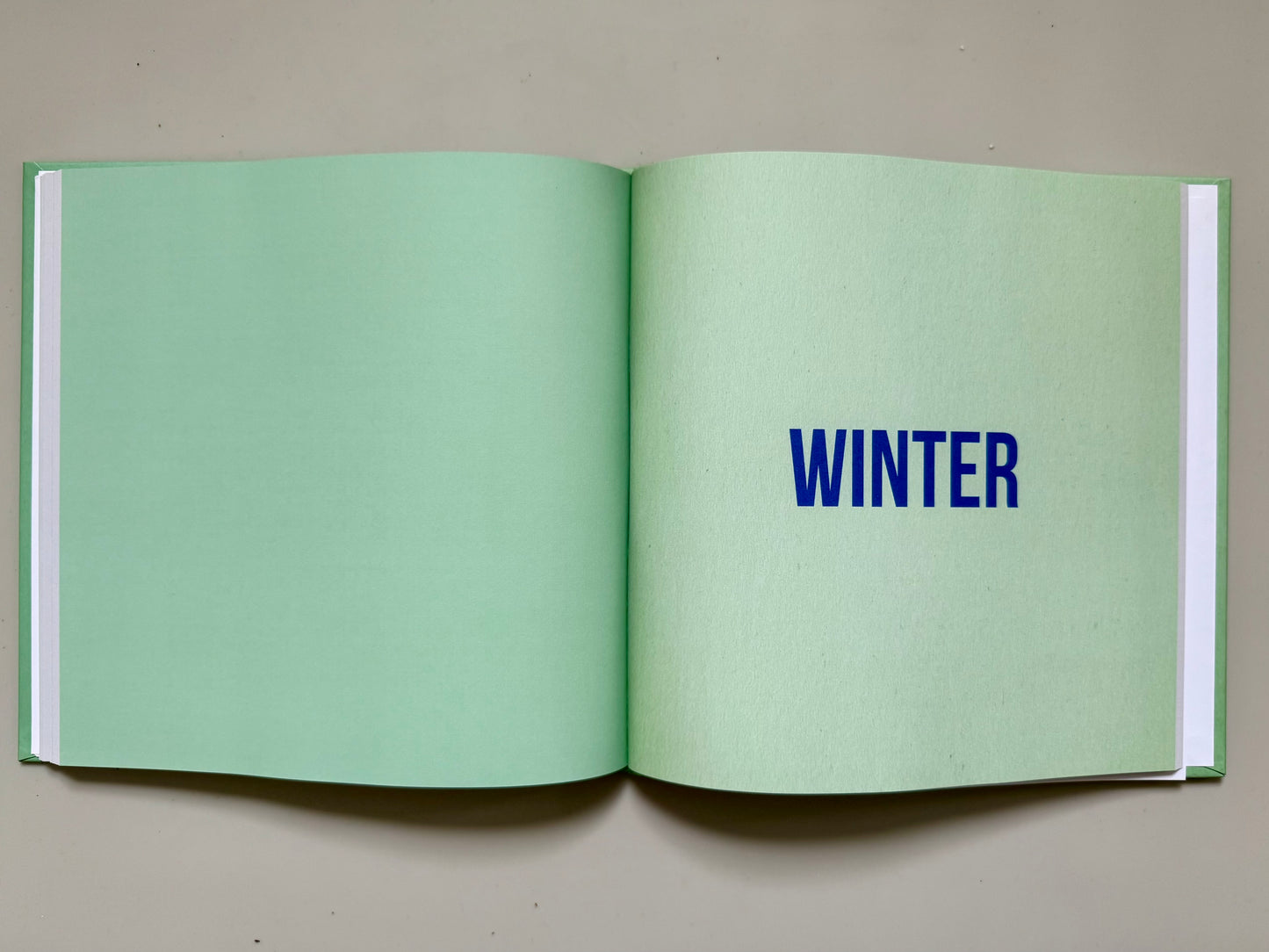 Hackney Trees – First Edition Artist Book (Limited Edition, Signed & Numbered)