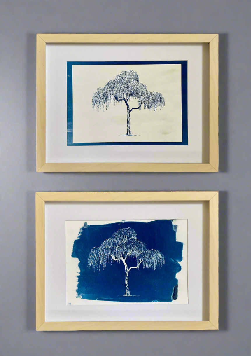 Weeping Silver Birch – Original Cyanotype Print