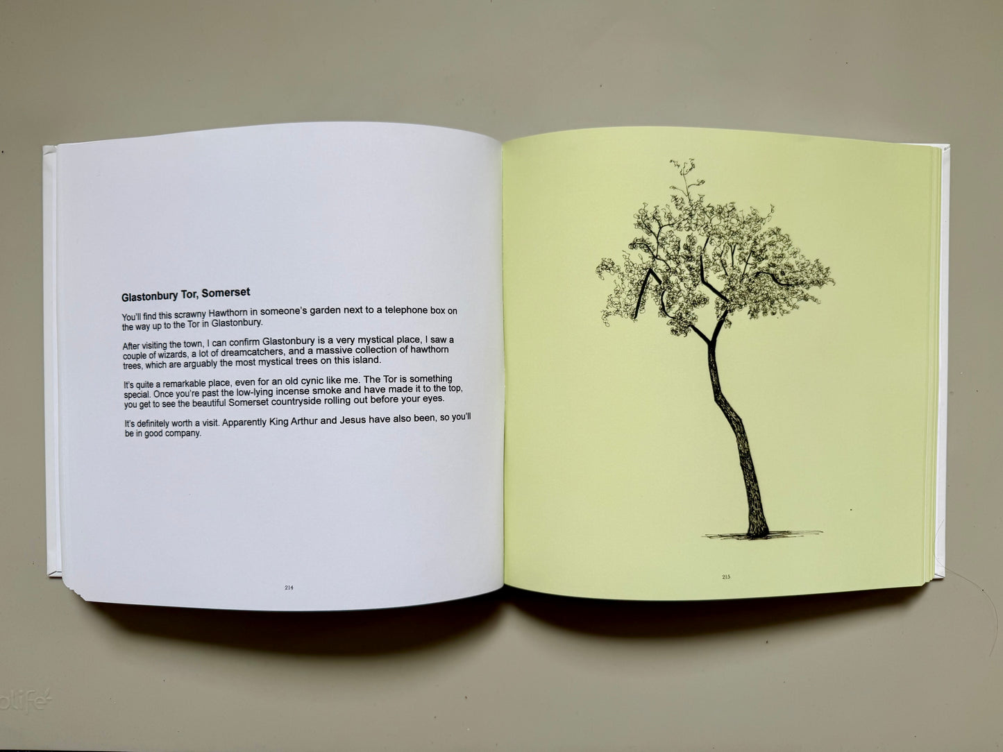 Drawing Collection 2021–2025 – First Edition Artist Book (Limited Edition, Signed & Numbered)