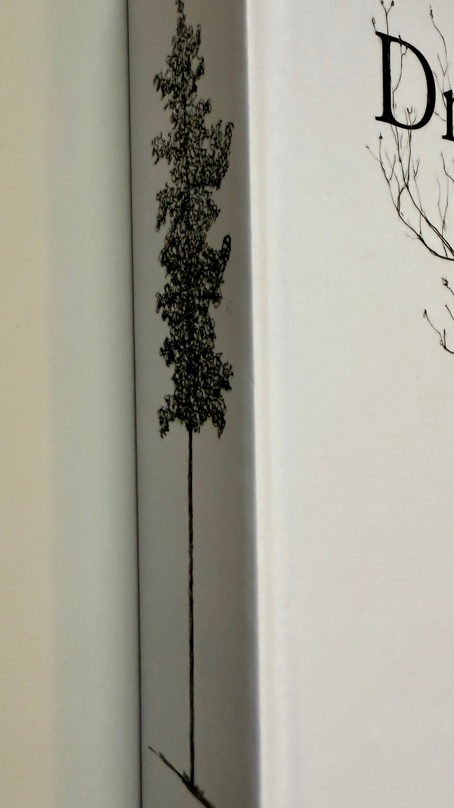 Drawing Collection 2021–2025 — First Edition Artist Book — Limited Edition, Signed & Numbered — Warren Drawing Trees