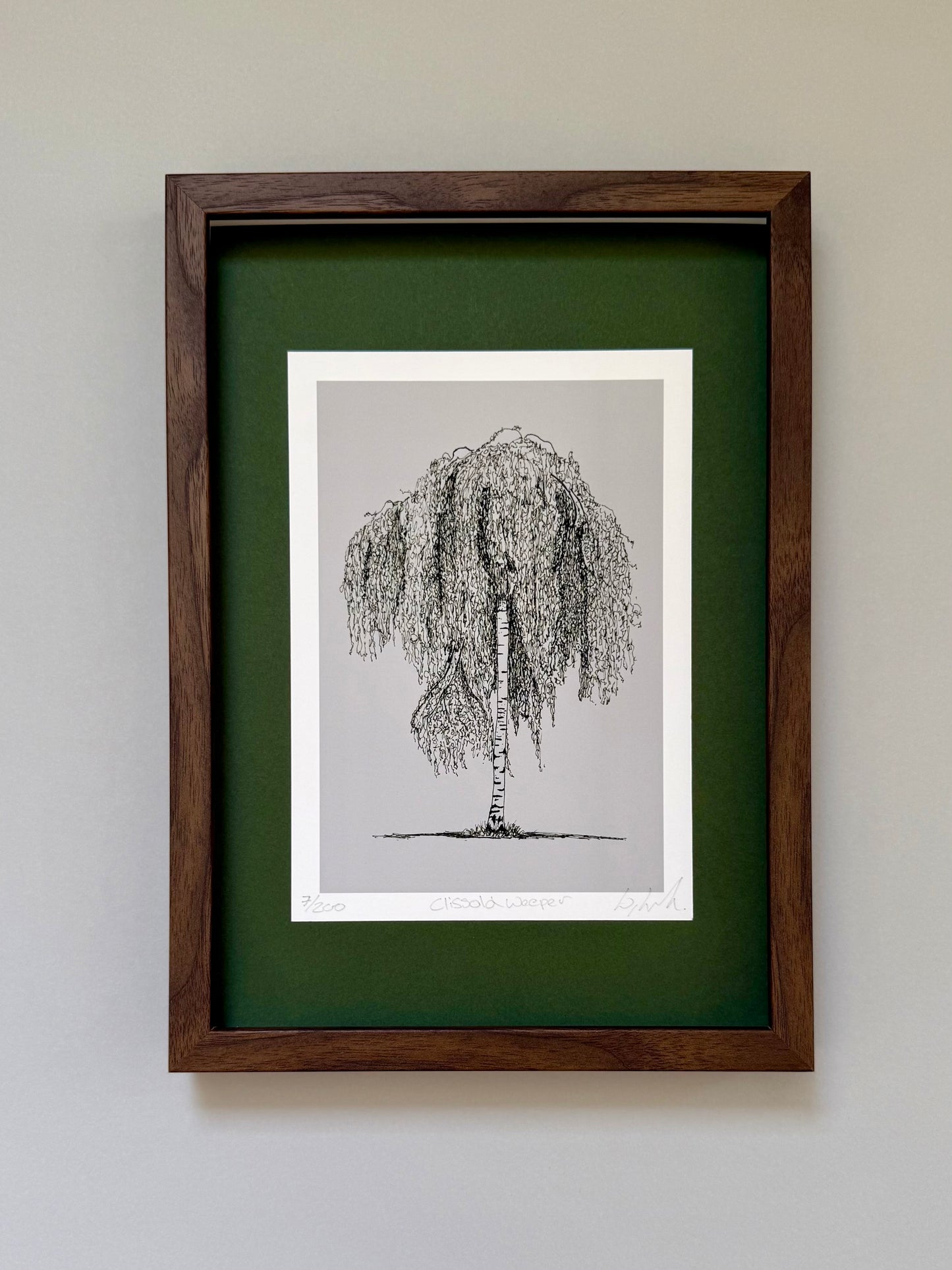 A framed botanical art print of a weeping tree, featuring a black ink sketch on a light gray background, surrounded by a white mat and a dark green mat, all enclosed in a dark brown wooden frame, mounted on a light gray wall.