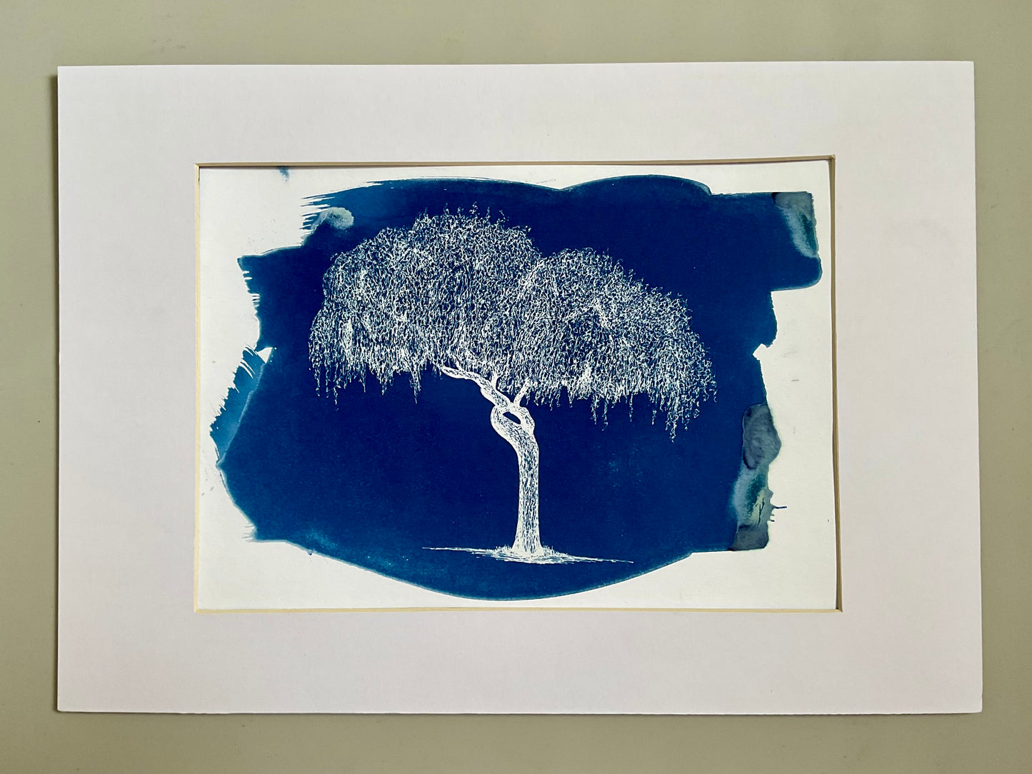 Original A4 cyanotype print of a finely detailed weeping tree in deep blue, hand-printed on watercolour paper with expressive brush edges.