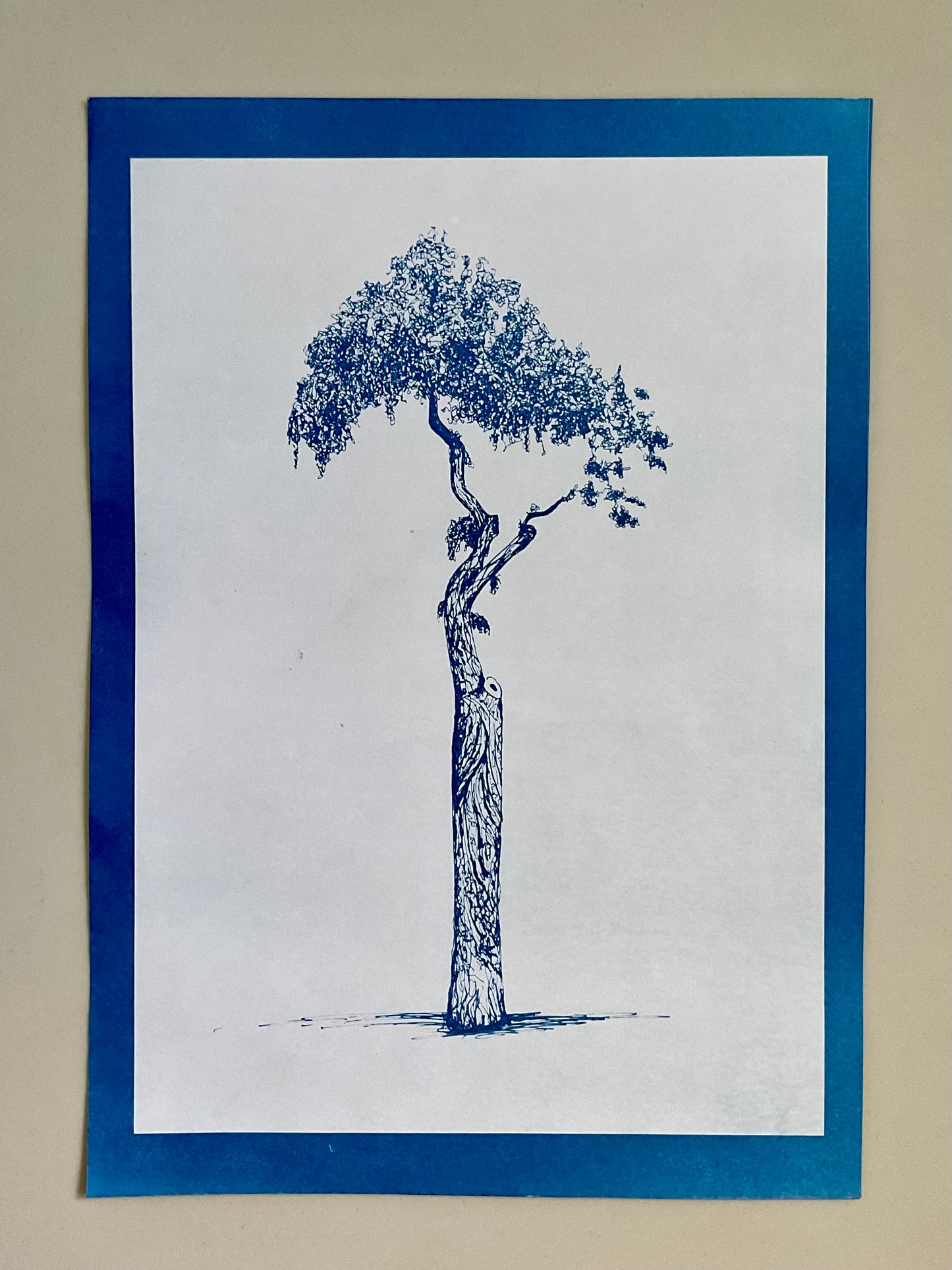 Framed cyanotype of the Athens Parasol Tree in positive — a deep blue tree on a light background, handmade using traditional sun-exposed cyanotype printing.