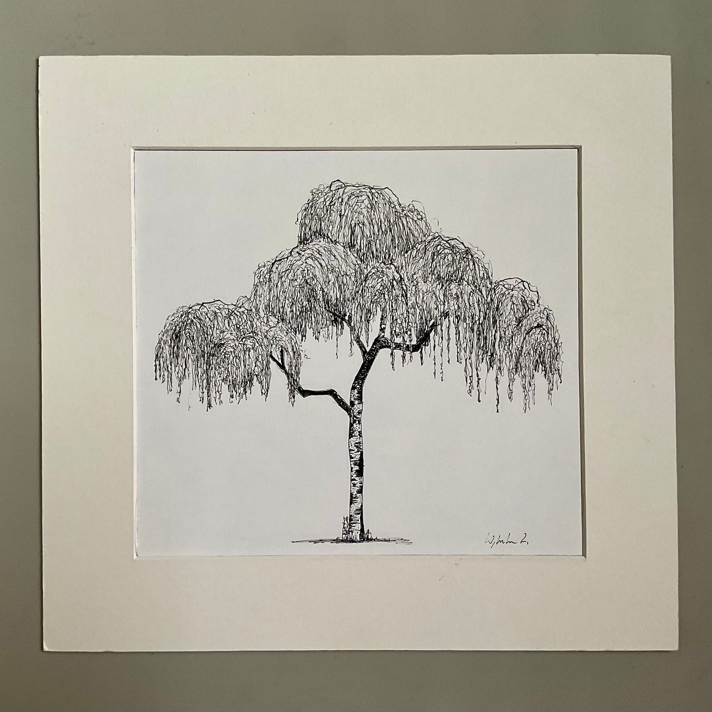 Highcliffe Silver Birch – Original Ink Drawin