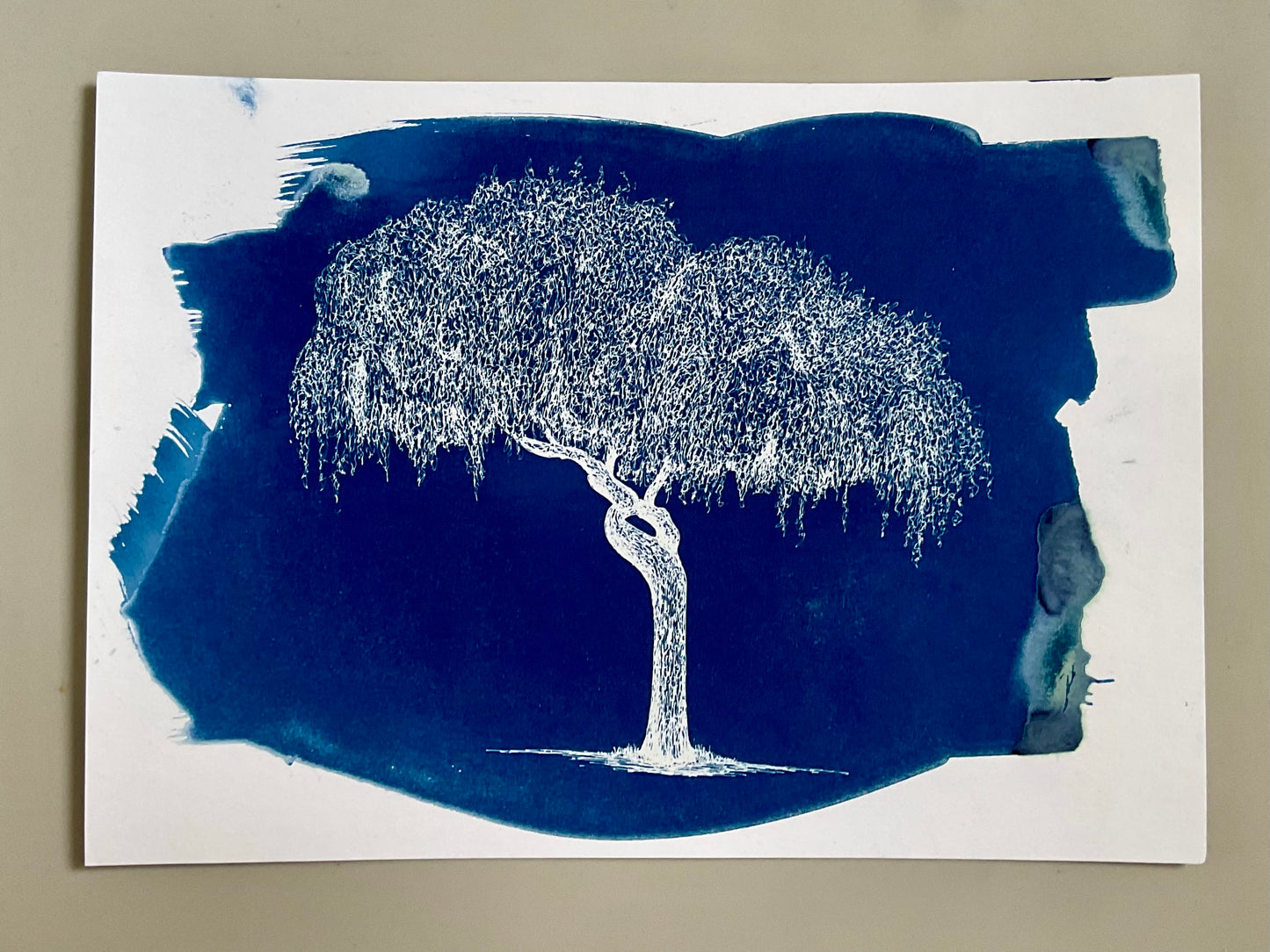 Original A4 cyanotype print of a finely detailed weeping tree in deep blue, hand-printed on watercolour paper with expressive brush edges.