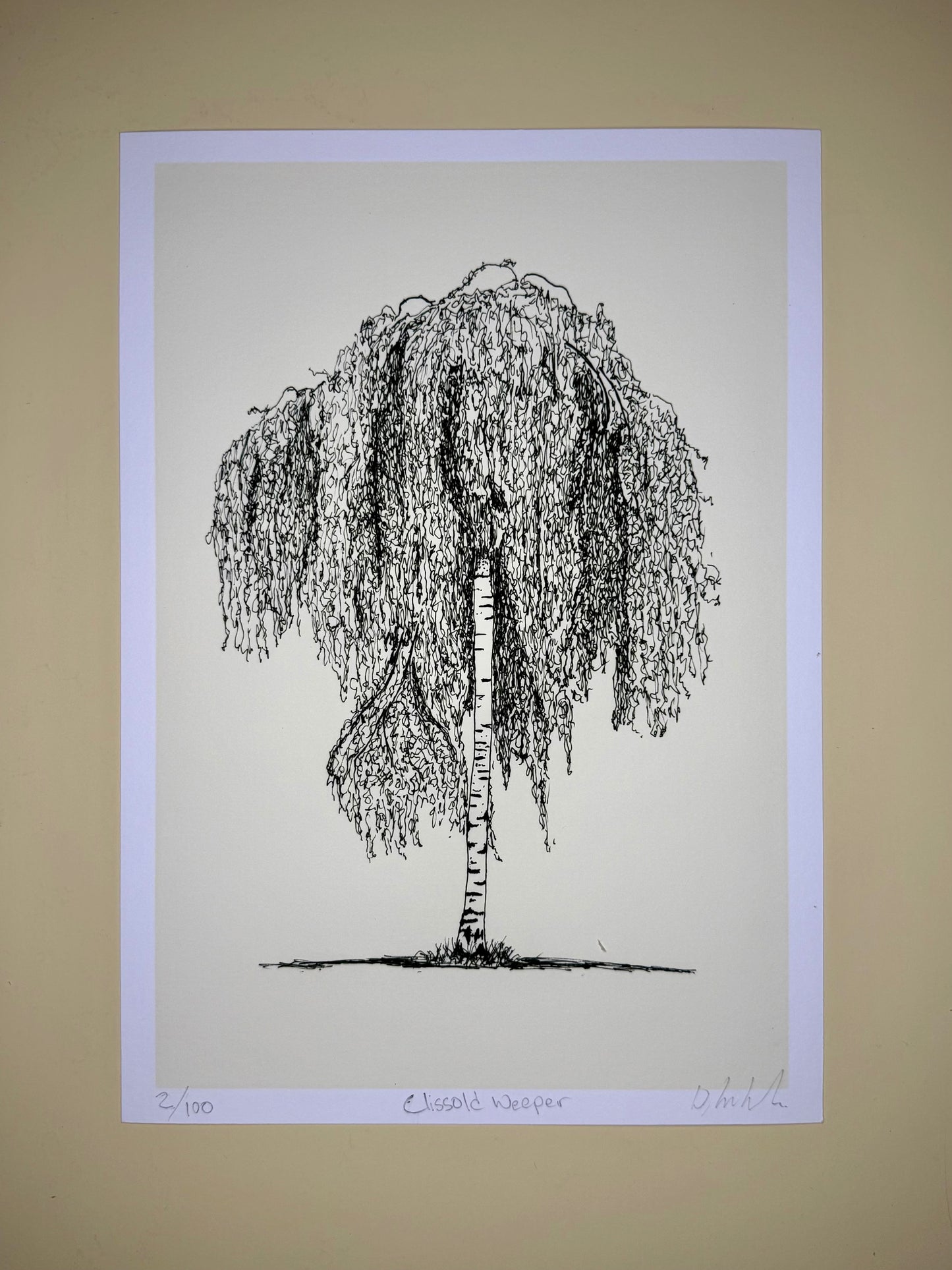 Clissold Weeper — A4 Limited Edition Giclée Print — Weeping Tree, Clissold Park, London — Warren Drawing Trees