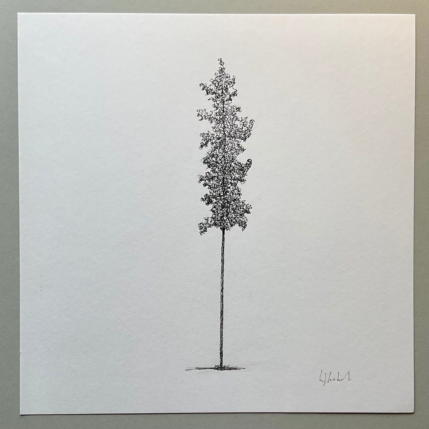• Fit Stick – original ink drawing of solitary tree by Warren Garland
• 25cm x 25cm tree illustration drawn on acid-free paper
• Quiet humorous tree drawing inspired by gym surroundings
