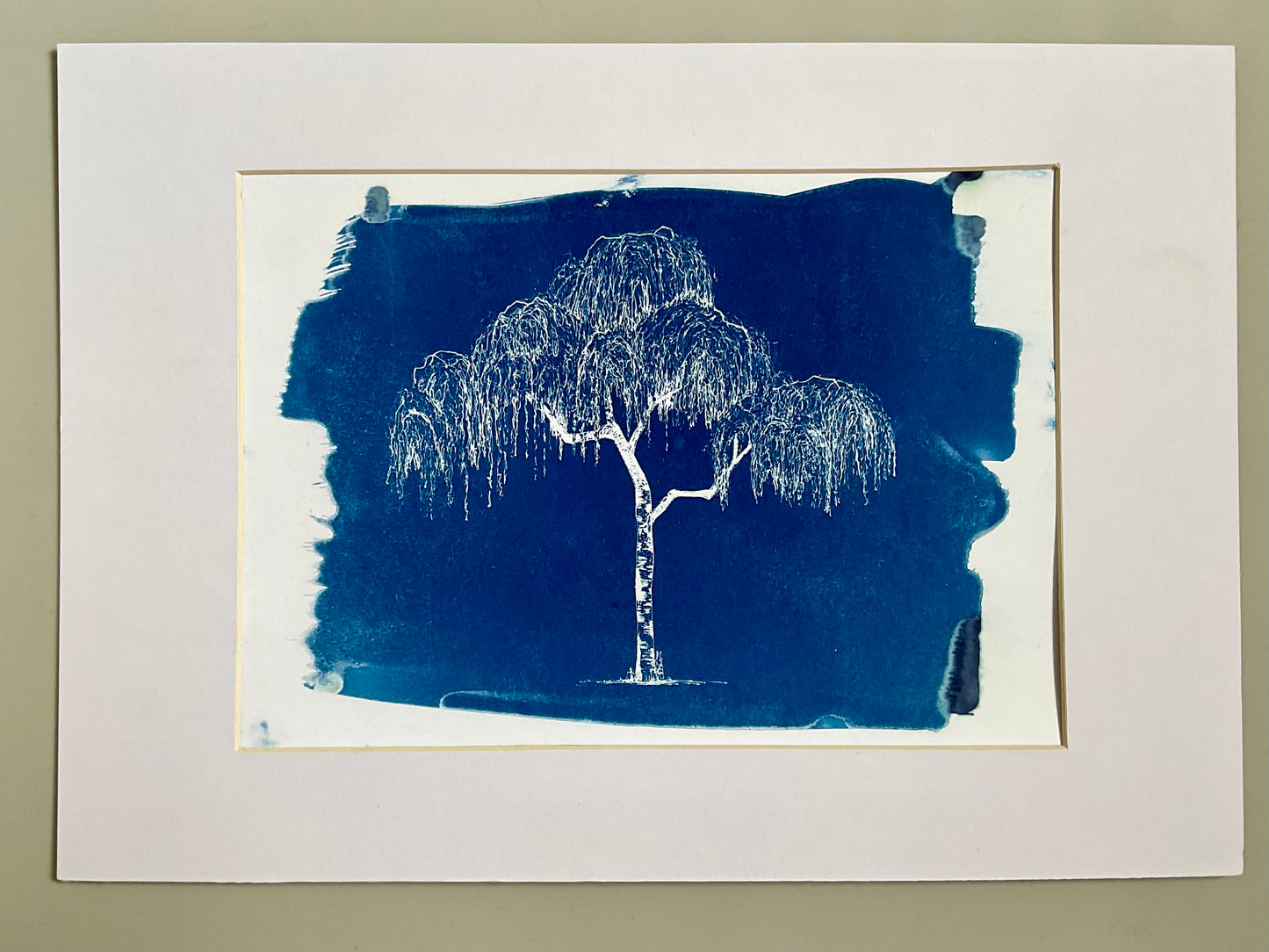 Framed blue cyanotype print of a silver birch tree with weeping branches, based on an original ink drawing by Warren Garland
