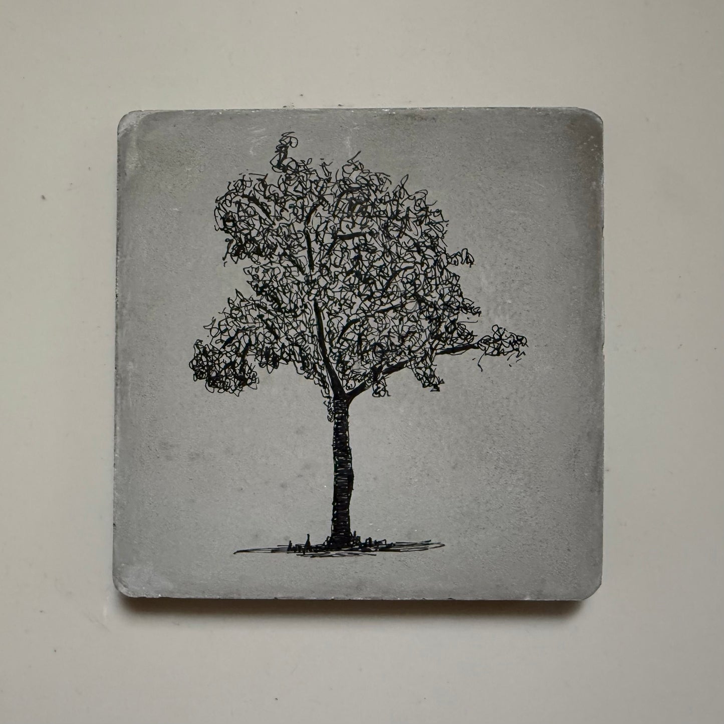 Ink drawing of a tree with dense, tangled canopy on a square cement tile, hand-drawn in black ink.