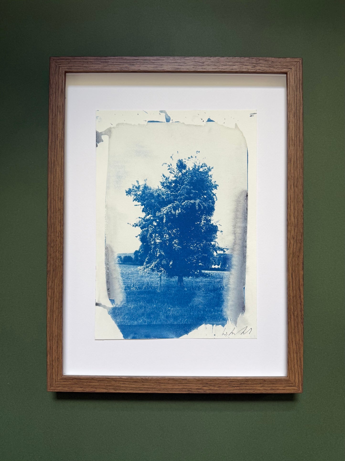 A4 Hay-on-Wye cyanotype displayed with a white mount in a dark wooden frame.