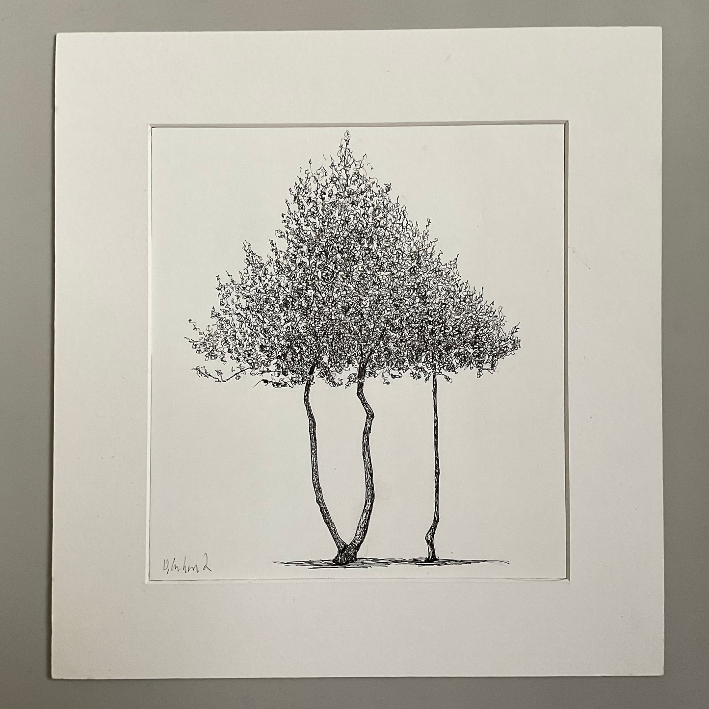Moseley Shelter – Original Tree Drawing