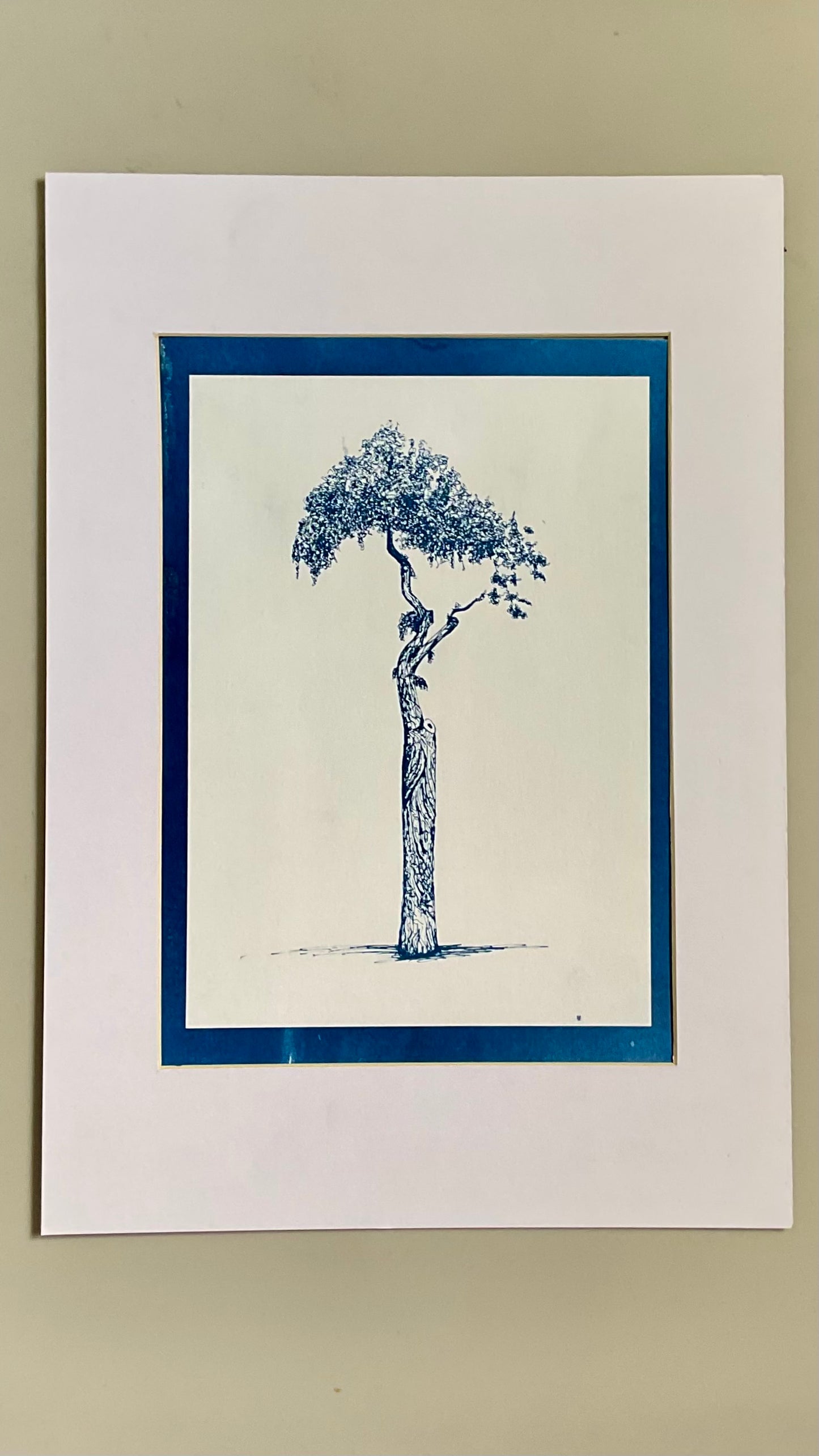 Framed cyanotype of the Athens Parasol Tree in positive — a deep blue tree on a light background, handmade using traditional sun-exposed cyanotype printing.