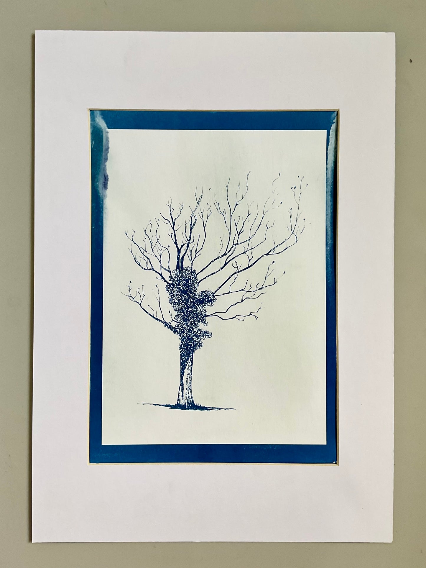 Positive cyanotype print of a bare winter oak tree wrapped in ivy, printed in deep blue on white background. Original art by Warren Drawing Trees.