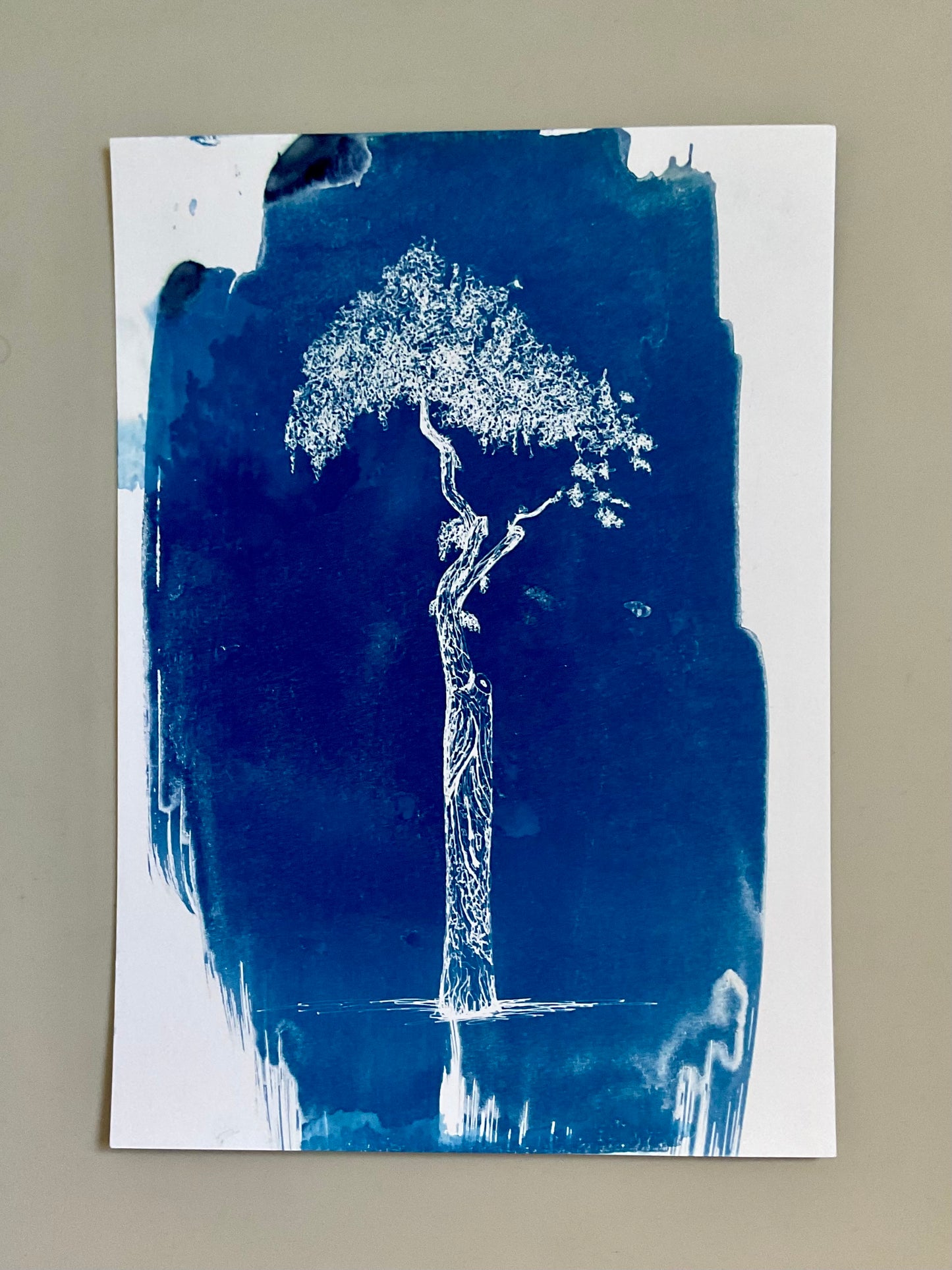 Original A4 cyanotype print of a parasol-shaped tree in Athens, printed in deep blue on watercolour paper.