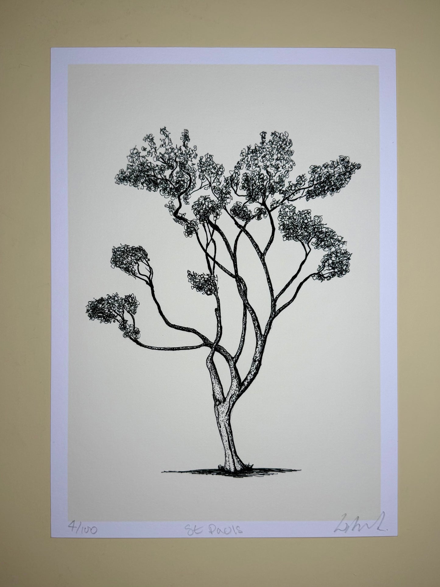 Saint Paul’s – A4 Limited Edition Tree Giclée Print