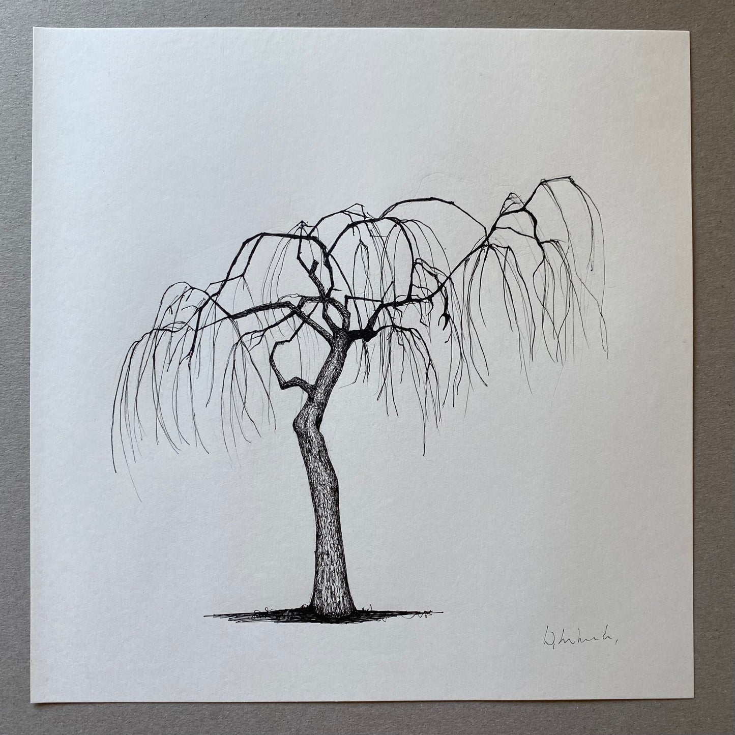 • Derbyshire Beauty – original tree drawing in ink by Warren Garland
• Botanical illustration of countryside tree – 25cm ink artwork
• Symmetrical tree drawing – original artwork by UK artist