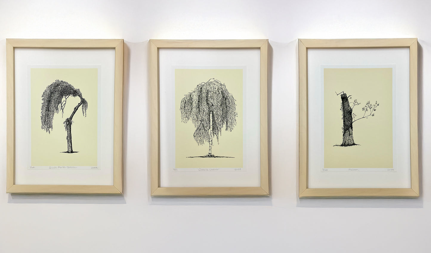 Three framed tree art prints by Warren Garland – ink illustrations of expressive weeping and regrowing trees on cream paper, displayed in light wood frames against a white gallery wall