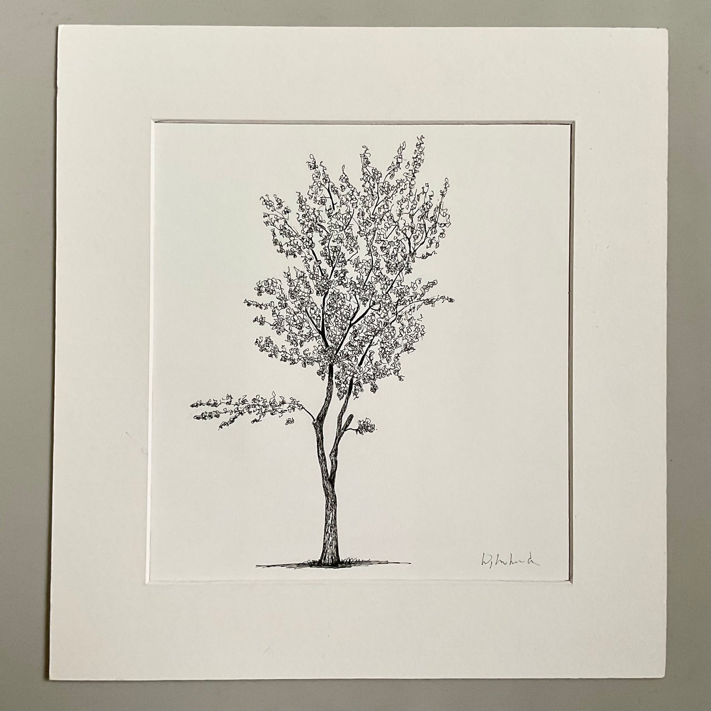 Cannon Hill Park Stroller – Original Tree Drawing