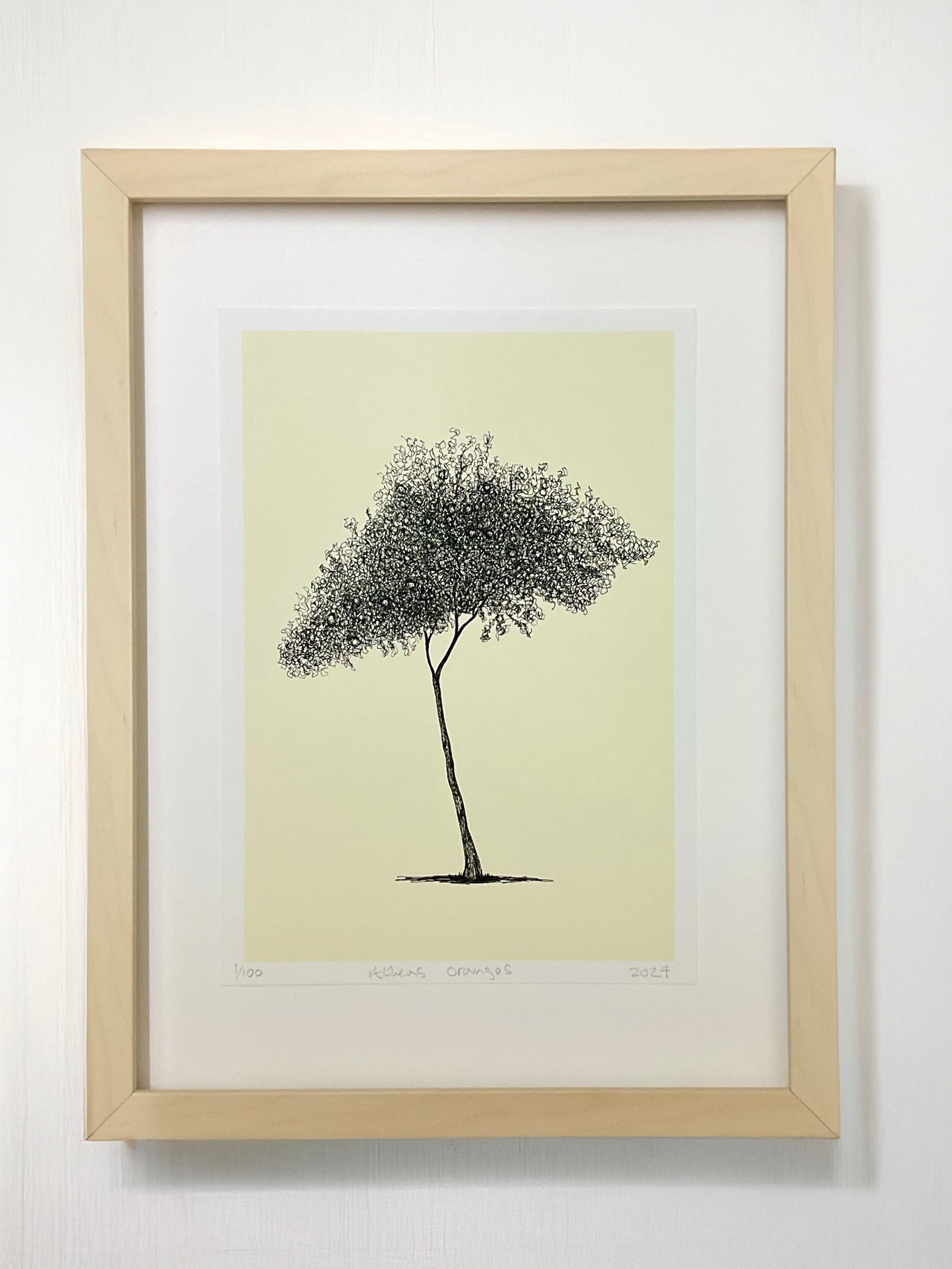 • Athens Orange Tree – A4 limited edition giclée print by Warren Garland
• Citrus tree drawing from Athens – fine art print on archival paper
• Greek orange tree illustration – hand-drawn ink giclée print