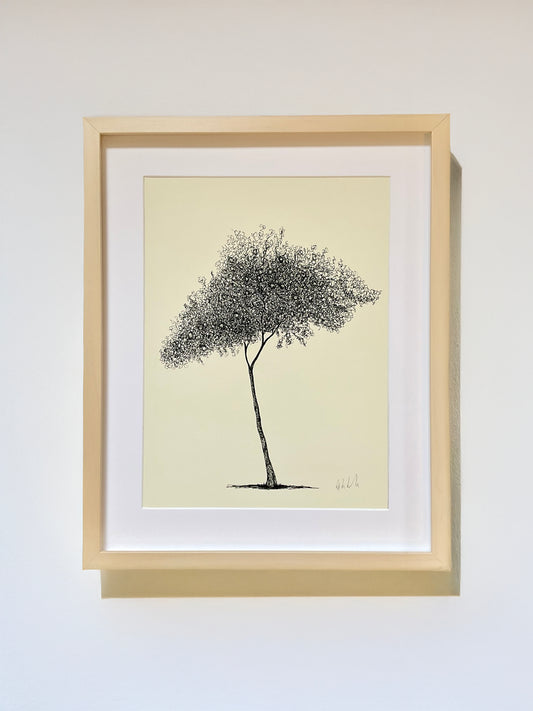 •	Athens Orange Tree – A3 limited edition giclée print by Warren Garland
	•	Citrus tree drawing from Athens – fine art print on archival paper
	•	Greek orange tree illustration – hand-drawn ink giclée print