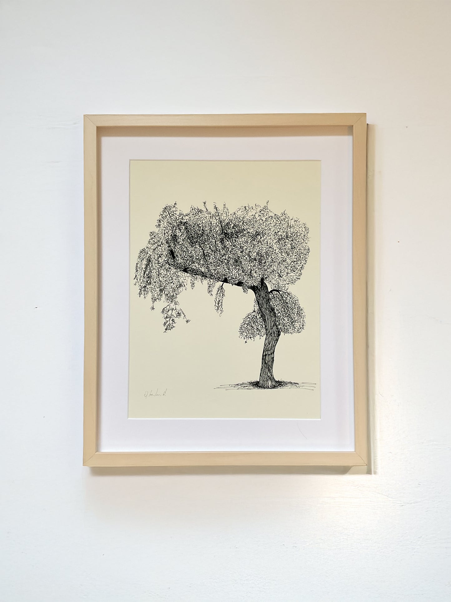 • Victoria Boat – A3 limited edition giclée print by Warren Garland
• Ink drawing of leaning tree beside boating lake in Victoria Park
• Urban tree artwork – botanical illustration on archival paper