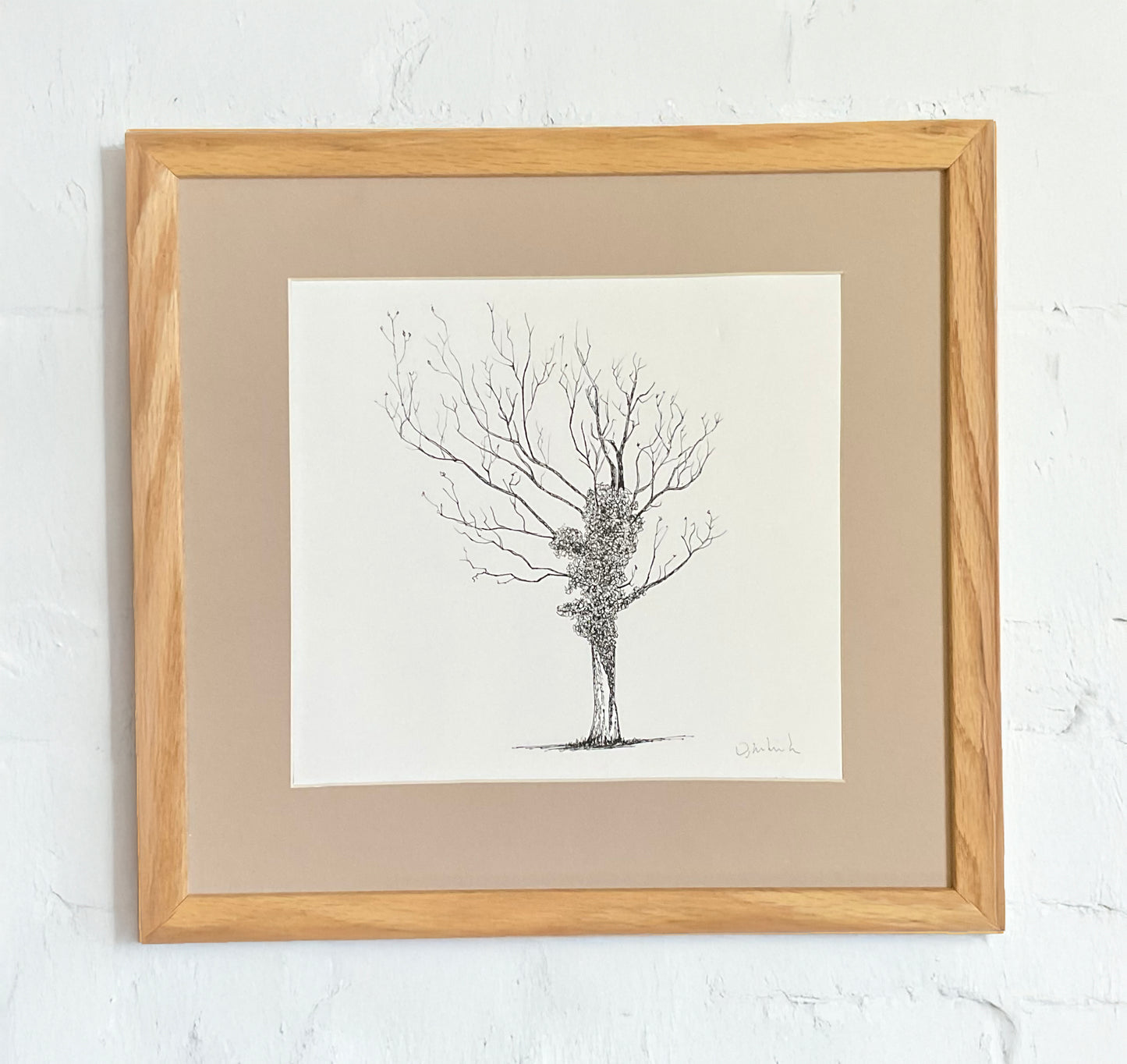 Tewkesbury Hugger, 2024 – Original Tree Drawing