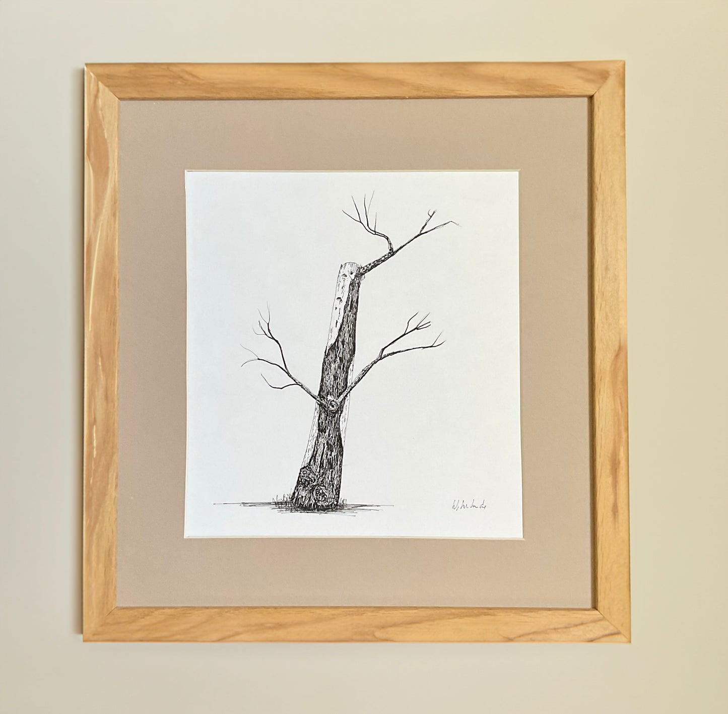 Original ink drawing of a weathered tree trunk with crooked branches, drawn in fine black pen on white paper, displayed in a cream mount.