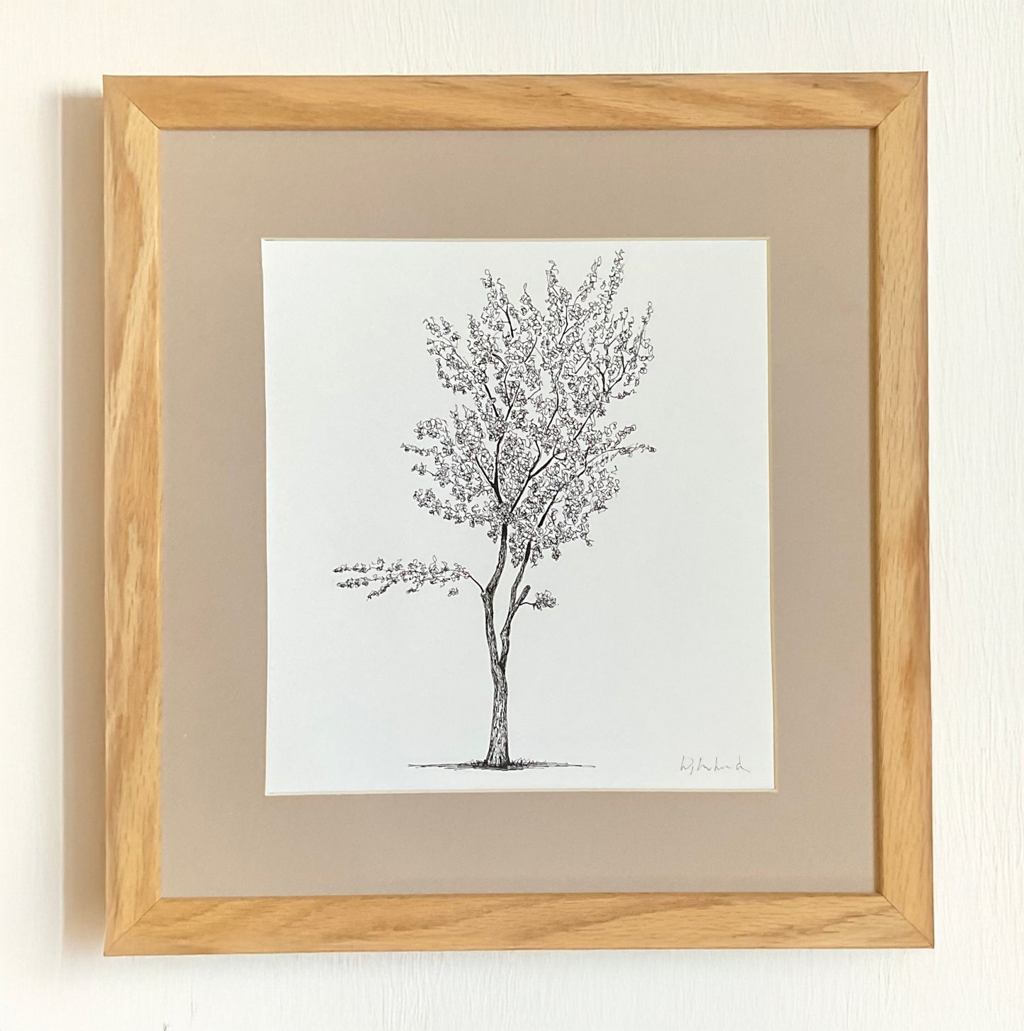 Cannon Hill Park Stroller – Original Tree Drawing