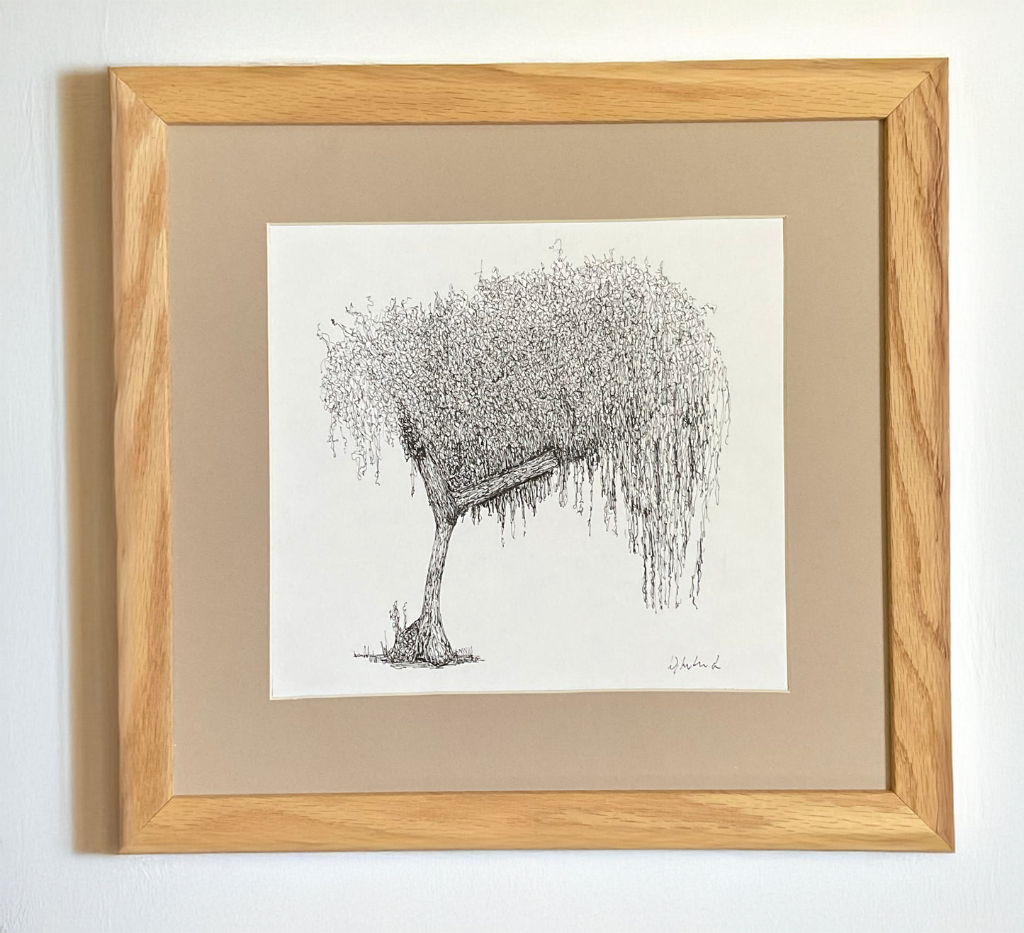 Original pen and ink drawing of a tree in Cannon Hill Park, one side weeping and full, the other neatly trimmed – mounted and ready to frame.