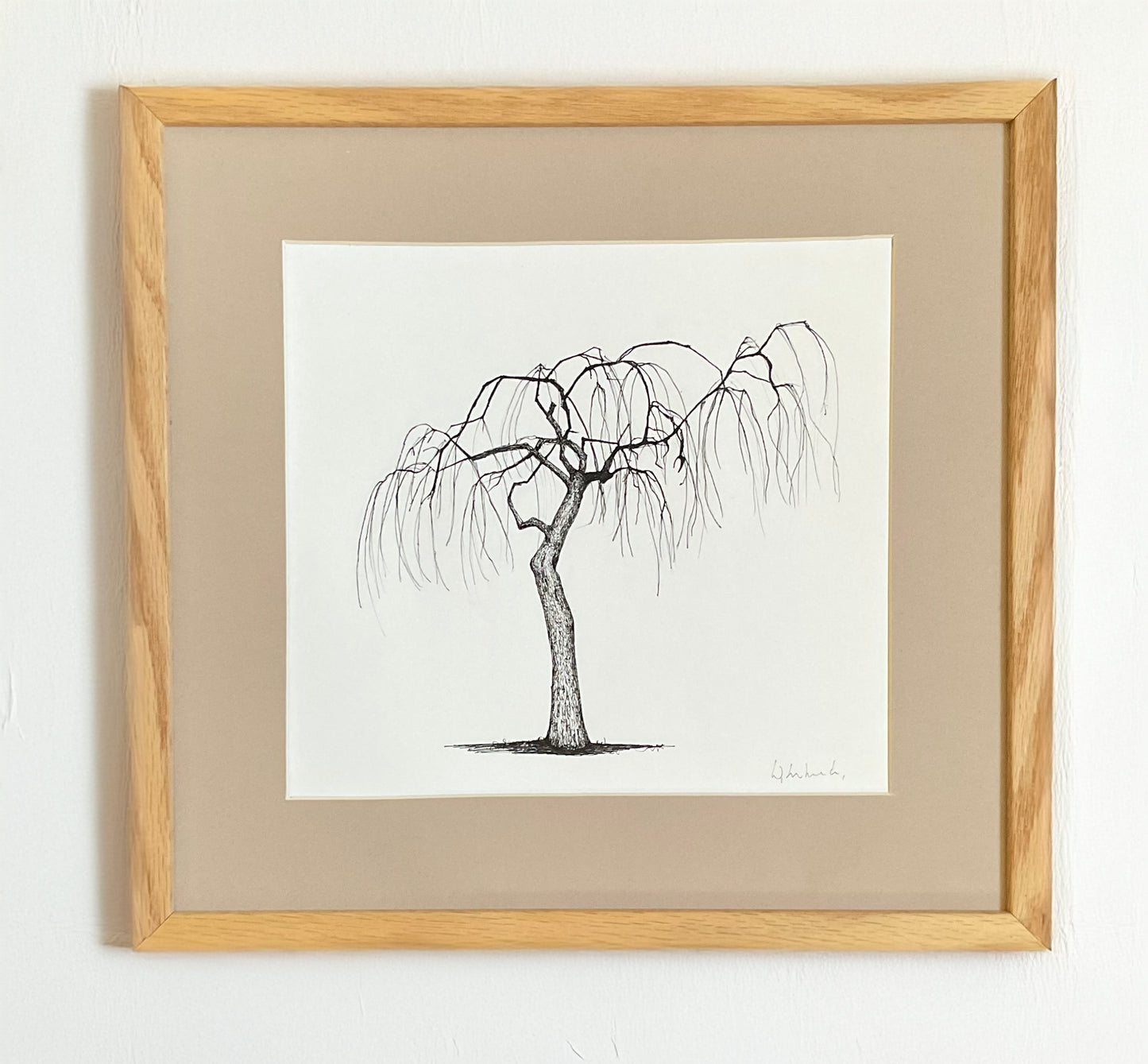 Derbyshire Beauty, 2024 – Original Tree Drawing