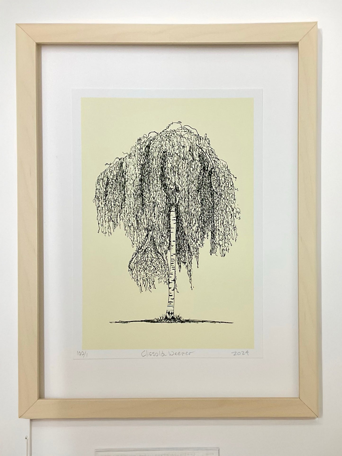 • Clissold Weeper – A4 limited edition giclée print of weeping tree by Warren Garland
• Stoke Newington tree drawing in ink – fine art print by UK artist
• Black and white giclée tree art print from Clissold Park, Lond