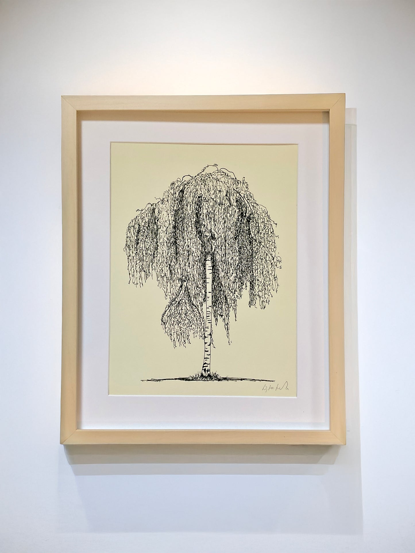 • framed Clissold Weeper – A3 limited edition giclée print of weeping tree by Warren Garland
• Stoke Newington tree drawing in ink – fine art print by UK artist
• Black and white giclée tree art print from Clissold Park, London