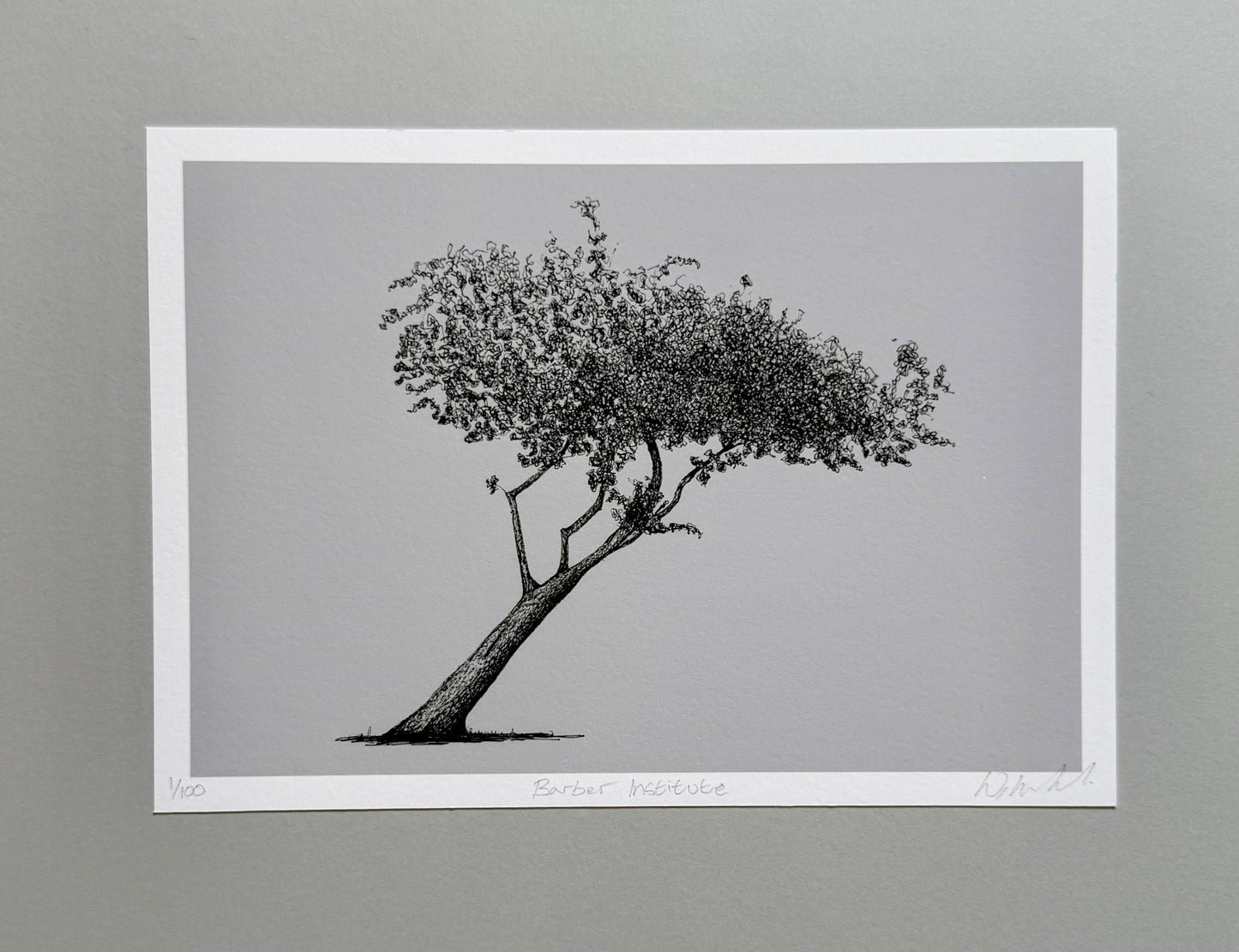 Barber Institute Tree — Limited Edition Giclée Print