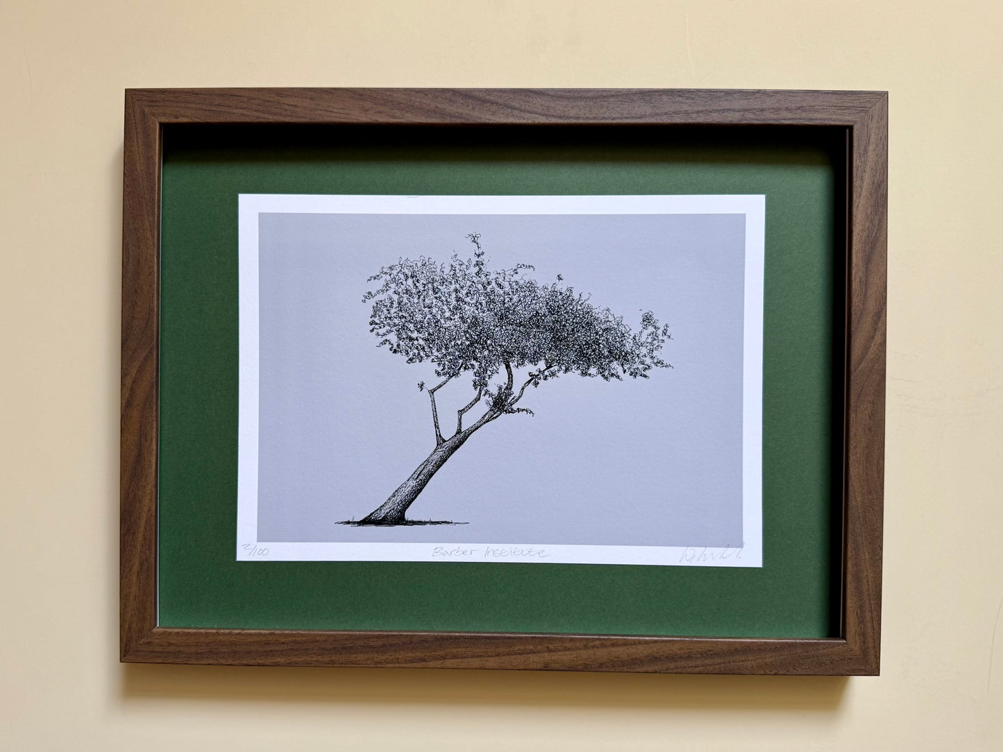A framed botanical art print of a tree, featuring a detailed black ink sketch on a light gray background, surrounded by a white mat and a dark green mat board, all enclosed in a dark brown wooden frame, mounted on a beige wall.