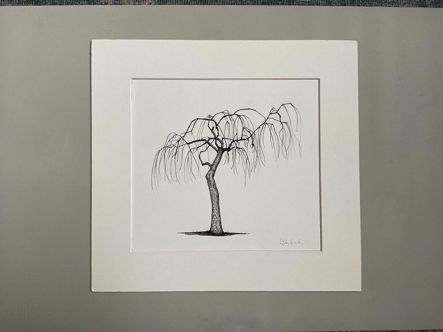 Derbyshire Beauty, 2024 – Original Tree Drawing