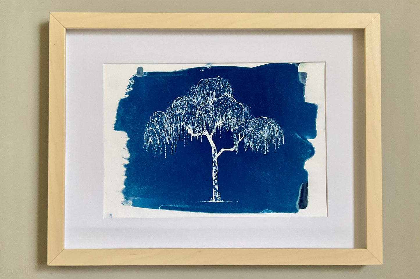 Framed blue cyanotype print of a silver birch tree with weeping branches, based on an original ink drawing by Warren Garland