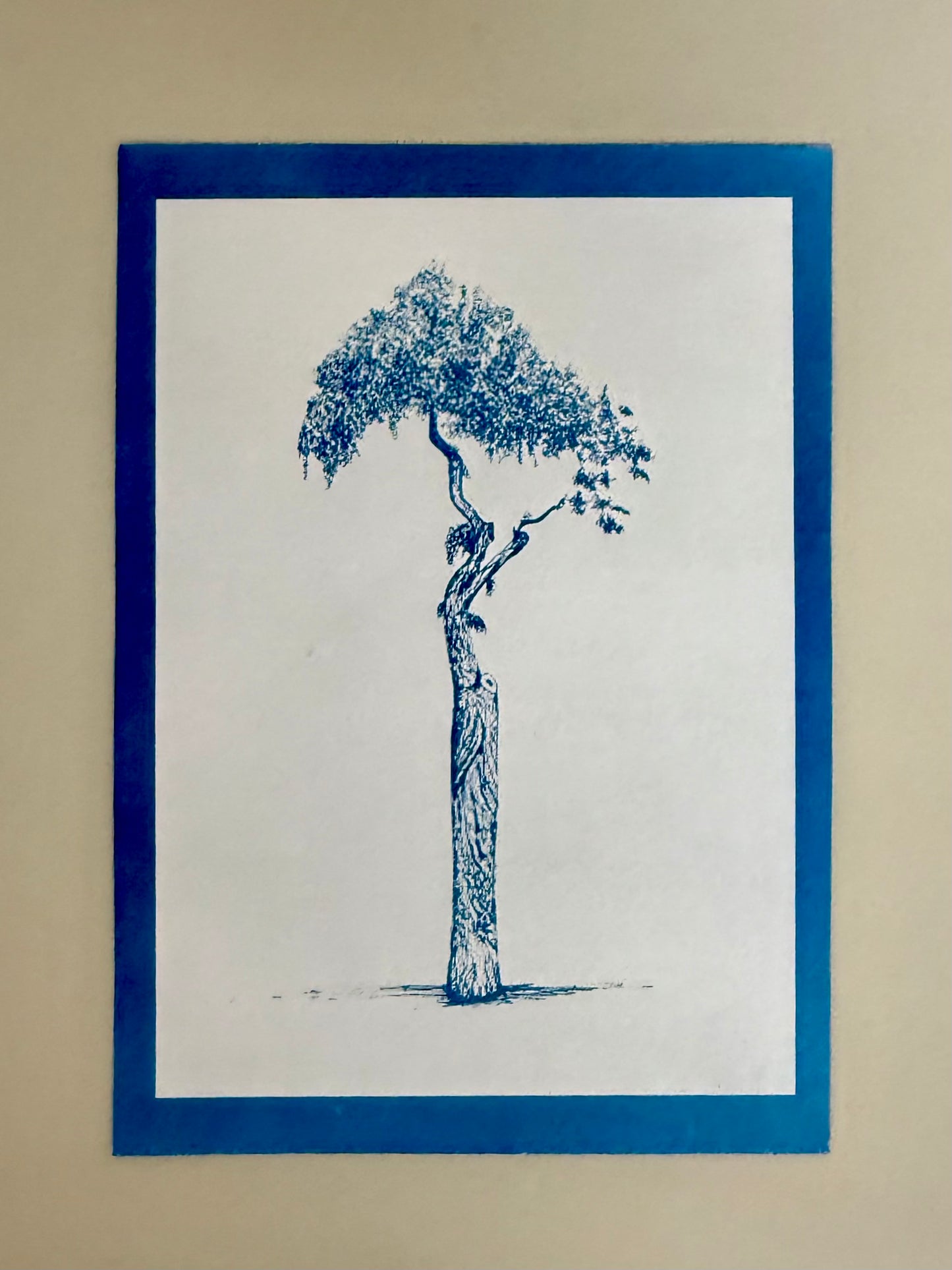 Artist proof cyanotype test print of the Athens Parasol Tree on A4 120gsm paper, showing variations from the final edition.