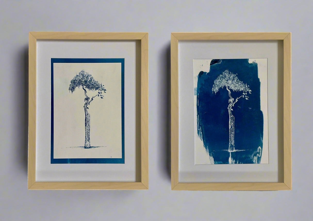 Athens Parasol Tree – Positive Cyanotype Print (A4)
