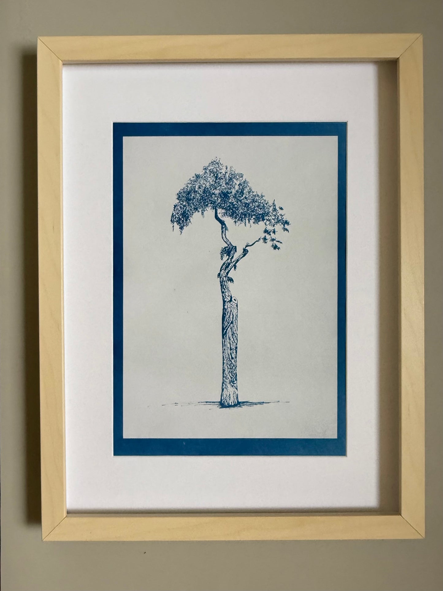 Artist proof cyanotype test print of the Athens Parasol Tree on A4 120gsm paper, showing variations from the final edition.