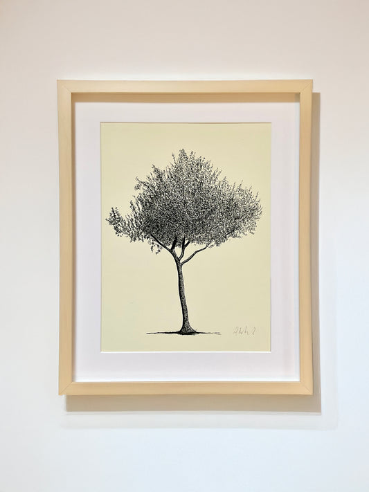 •	Homerton Hawthorn – A3 limited edition giclée tree print by Warren Garland
	•	Hawthorn ink illustration – East London street tree print
	•	Urban fairy tree artwork – original botanical drawing print