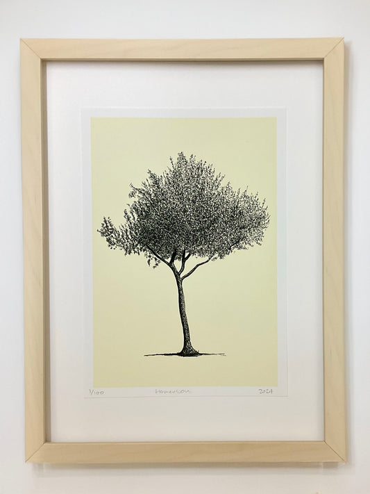 Homerton Hawthorn – A4 Limited Edition Tree Giclée Print