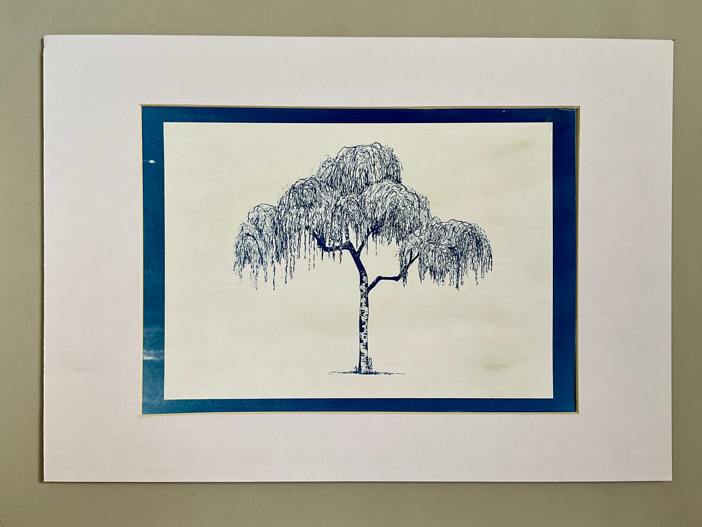 Weeping Silver Birch – Original Cyanotype Print