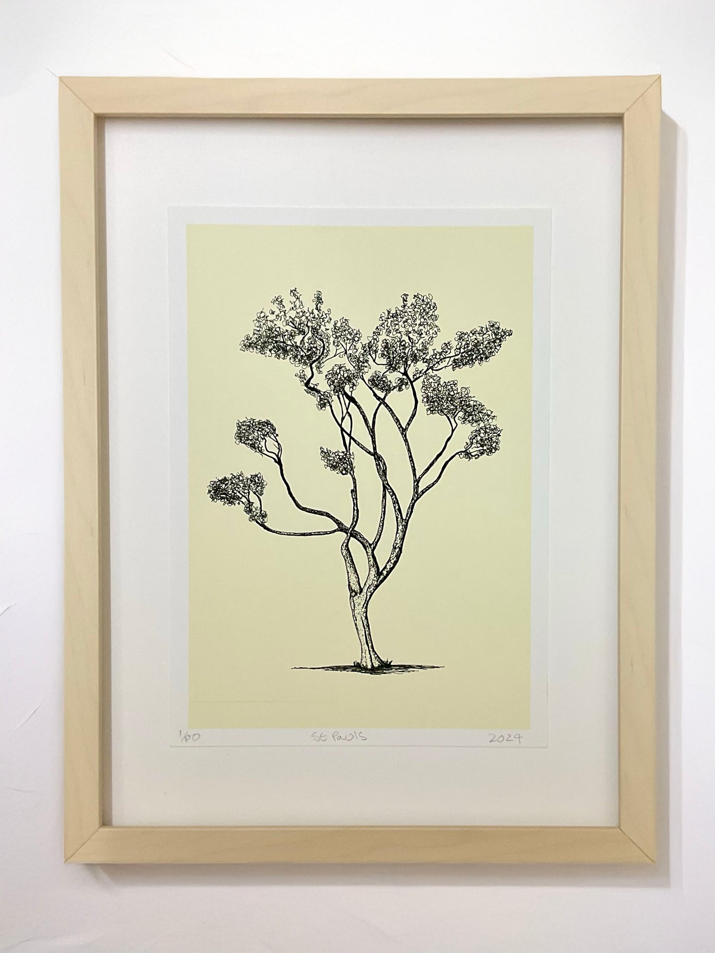 • Saint Paul’s – A4 giclée print of tree near Stoke Newington church by Warren Garland
• UK tree drawing – archival ink art print from Warren Drawing Trees
• Black and white tree illustration from London – fine art giclée print