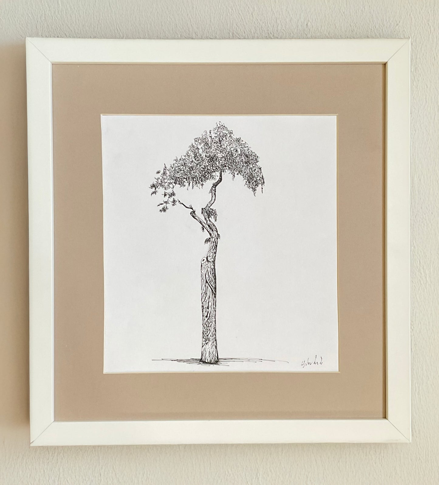 Original square ink drawing of a parasol-shaped street tree in Athens, outside the Museum of Cycladic Art. 25cm x 25cm artwork shown framed in light wood (frame not included).