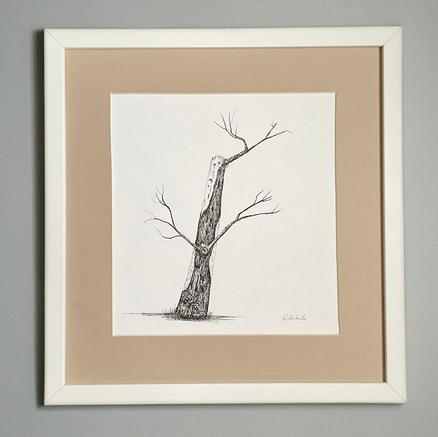 Original ink drawing of a weathered tree trunk with crooked branches, drawn in fine black pen on white paper, displayed in a cream mount.