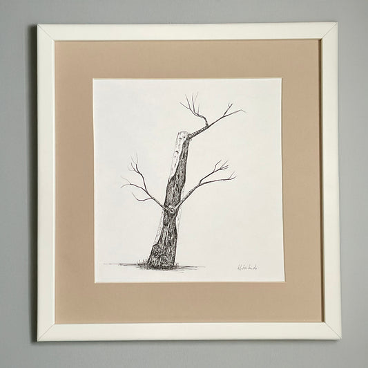 Original ink drawing of a weathered tree trunk with crooked branches, drawn in fine black pen on white paper, displayed in a cream mount.