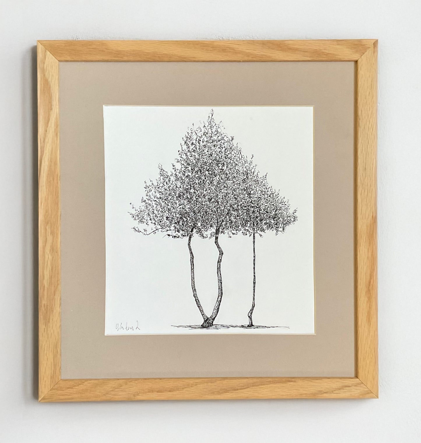 Moseley Shelter – Original Tree Drawing