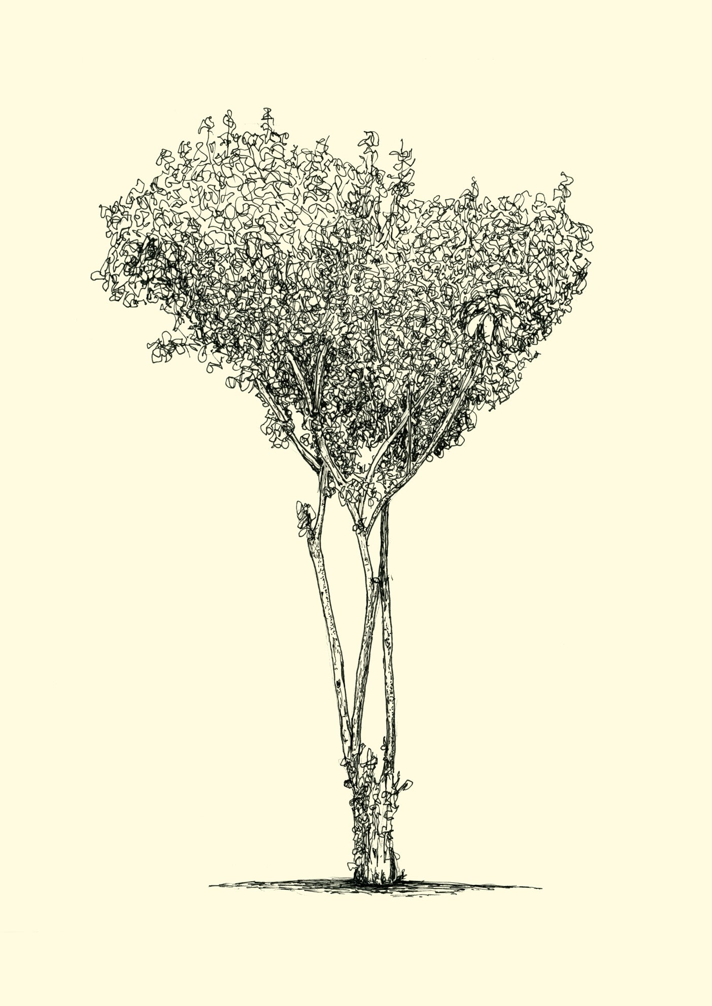 • Hackney Downs – A3 limited edition giclée tree print by Warren Garland
• Ink drawing of tree in Hackney Downs park – fine art print
• Urban tree artwork – giclée print from original East London drawing