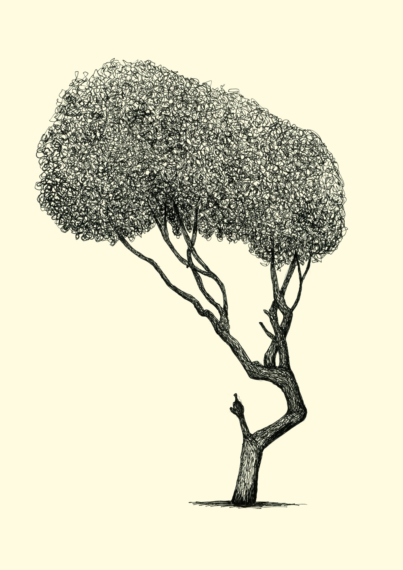 • Homerton Longer – A3 limited edition giclée tree print by Warren Garland
• Ink drawing of urban tree in Homerton – fine art giclée print
• East London botanical illustration – tree print by UK artist