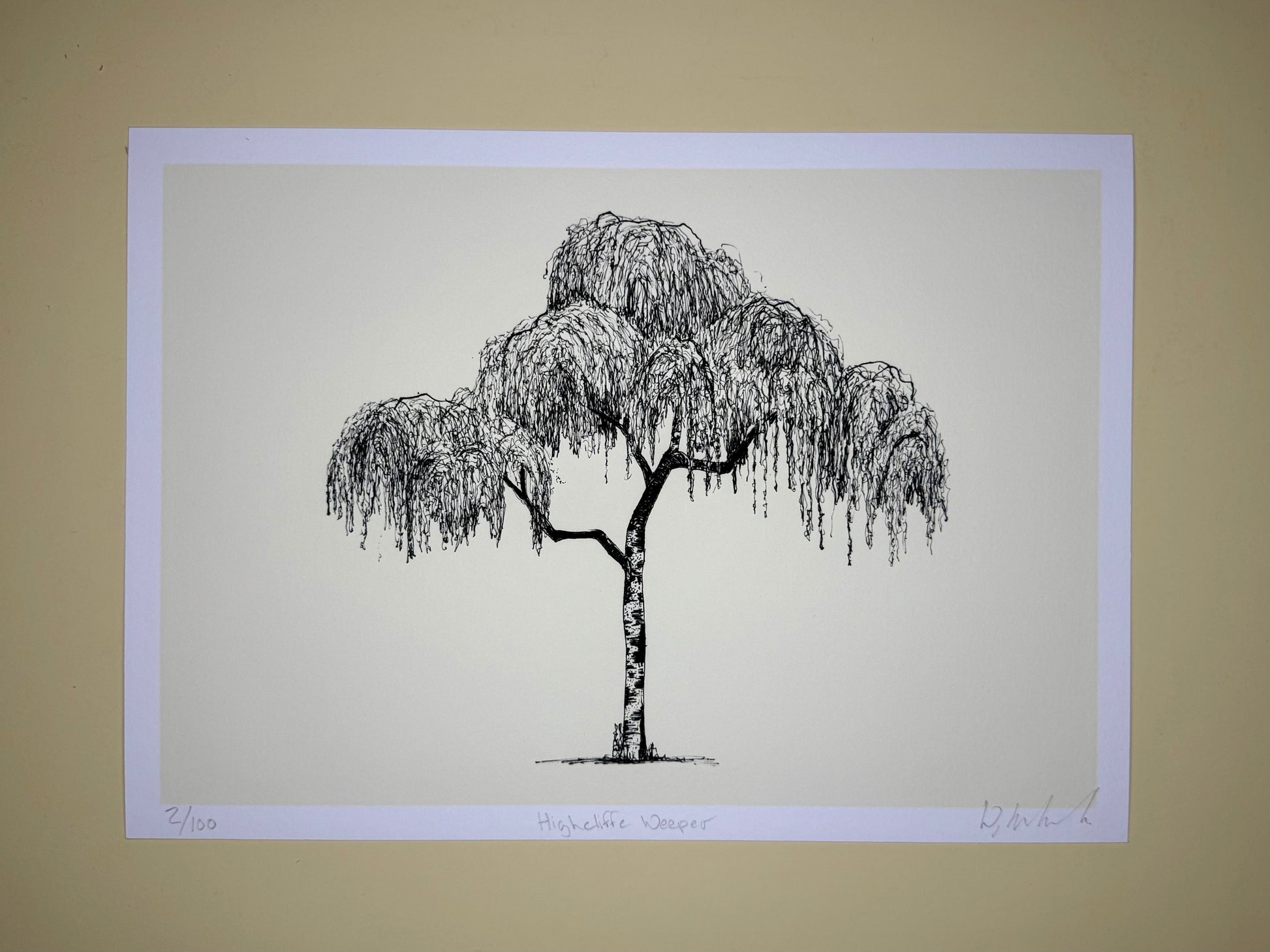 Black and white illustration of a willow tree on a beige background